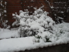 April,April