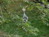 Zoo Hannover