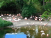 Zoo Hannover