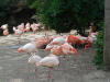 Zoo Hannover