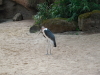 Zoo Hannover