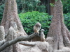 Zoo Hannover
