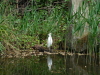 Zoo Hannover